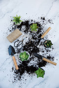 Light Yard Work & Gardening